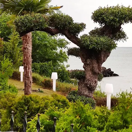 アパート каса реал с 2 спальнями